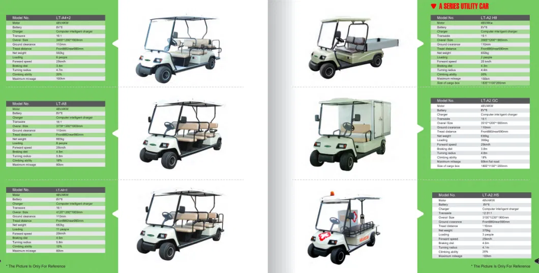 Promotional Good Quality ISO, CE Certificate 2 Passengers Electric Golf Cart (LT-A2)