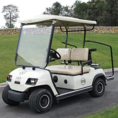 Promotional Good Quality ISO, CE Certificate 2 Passengers Electric Golf Cart (LT